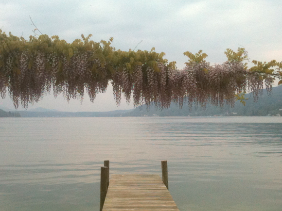 lakes-my-lake-hotel-and-spa-seeblick