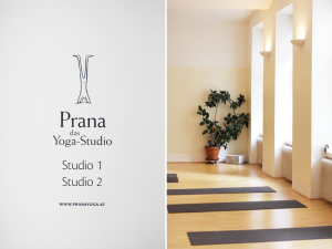 vienna city guide: prana yoga sommeryoga | h.anna