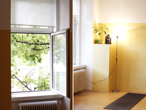 vienna city guide: prana yoga sommeryoga | h.anna