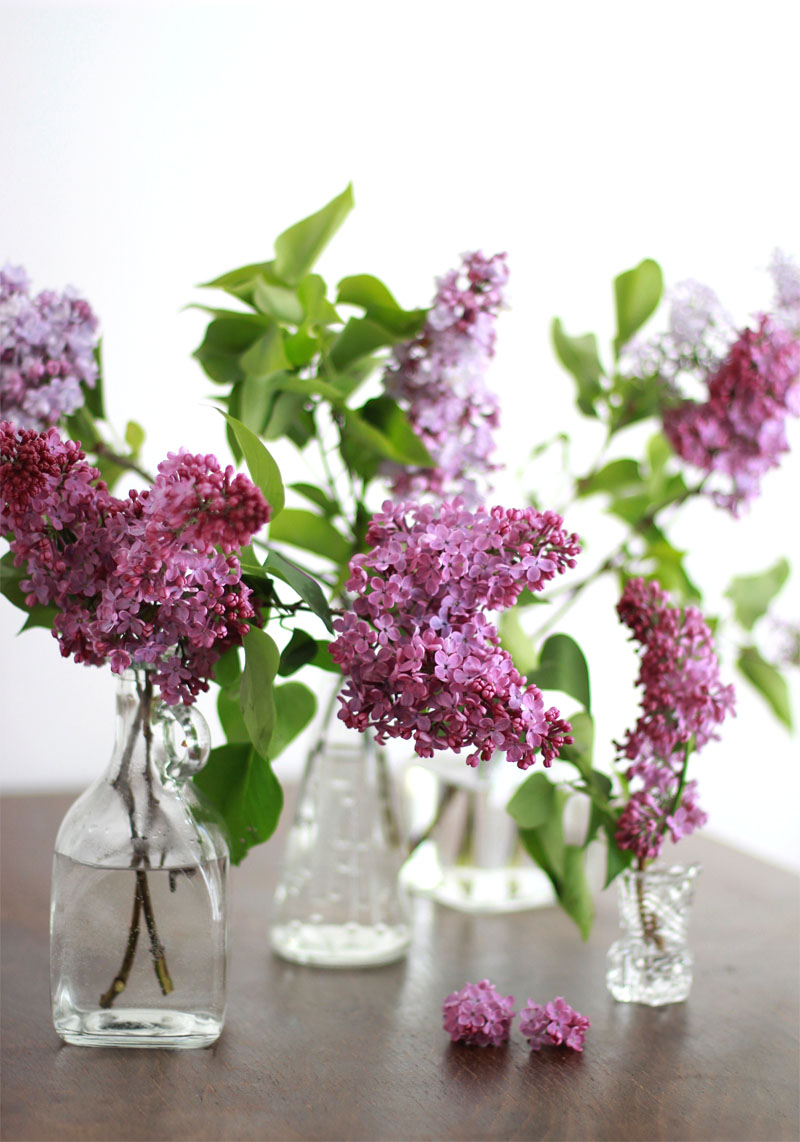 deko mit flieder - blumenarrangements in der vase | h.anna