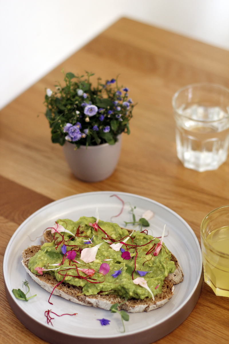 vienna city guide: bits and bites vienna - avocado brot | h.anna