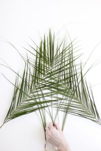 DIY: Creatisto Klebefolien selbst designen | h.anna